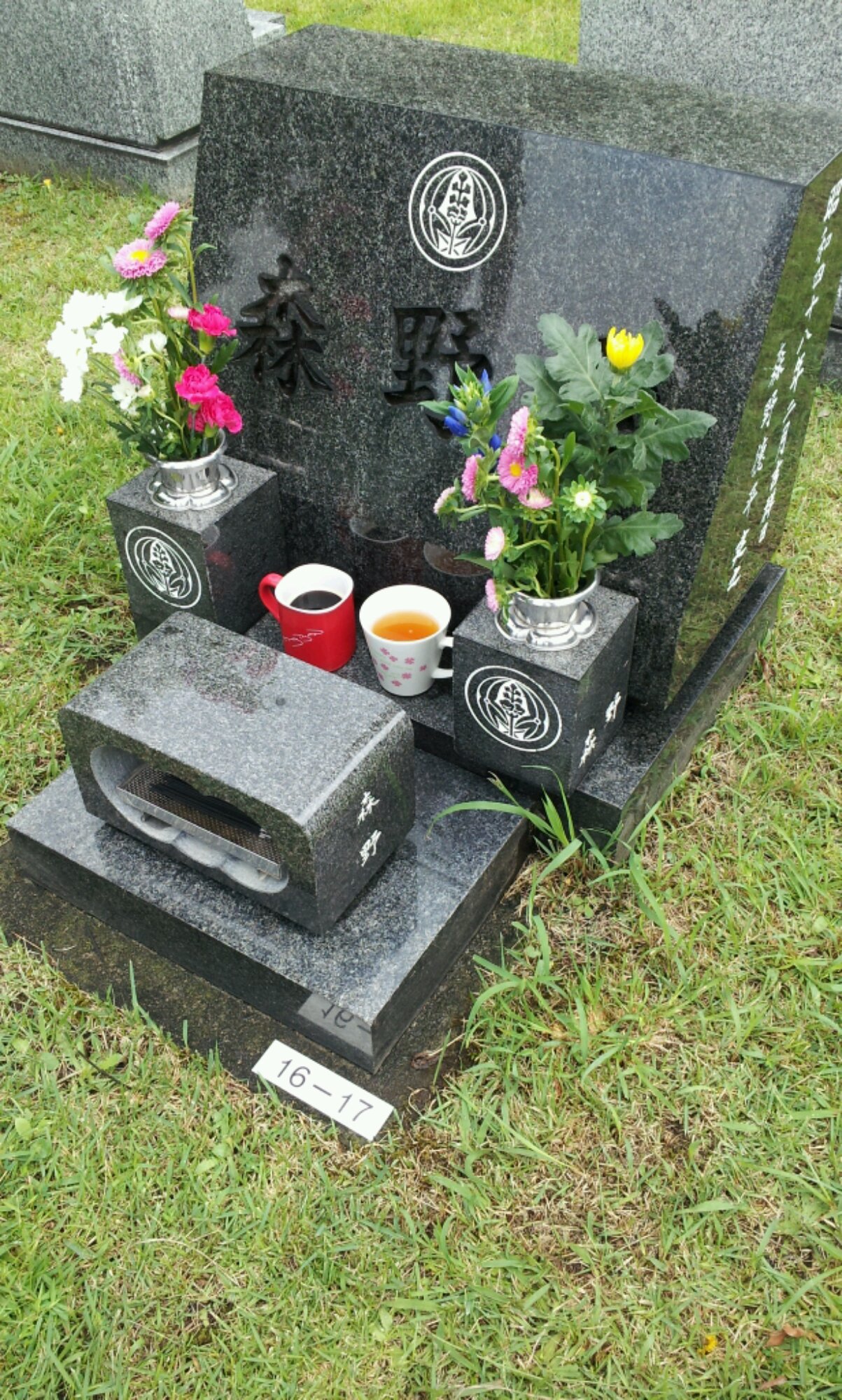 20140813_130950.jpg image